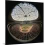 Houston Domed Stadium-null-Mounted Photographic Print