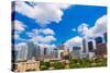 Houston Skyline from South in Texas US USA-holbox-Stretched Canvas