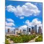 Houston Skyline from South in Texas US USA-holbox-Mounted Photographic Print