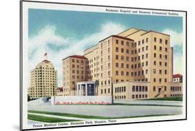 Houston, Texas - Hermann Park, Texas Medical Center, Exterior View of Hermann Hospital, c.1948-Lantern Press-Mounted Art Print