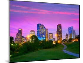 Houston Texas Modern Skyline at Sunset Twilight from Park Lawn-holbox-Mounted Photographic Print