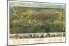 Houston, Texas - Panoramic Map-null-Mounted Poster