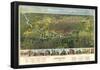 Houston, Texas - Panoramic Map-null-Framed Poster