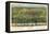 Houston, Texas - Panoramic Map-Lantern Press-Framed Stretched Canvas