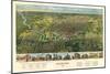 Houston, Texas - Panoramic Map-Lantern Press-Mounted Art Print