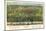 Houston, Texas - Panoramic Map-Lantern Press-Mounted Art Print