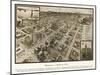 Houston, Texas - Panoramic Map-Lantern Press-Mounted Art Print