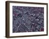 Houston, Texas-Stocktrek Images-Framed Photographic Print