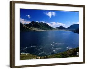 Hout Bay From Chapman's Peak Drive, Cape Peninsula, South Africa-Ariadne Van Zandbergen-Framed Photographic Print