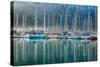 Hout Bay Harbor, Hout Bay South Africa-Richard Silver-Stretched Canvas