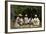 Hova Money Changers, Madagascar, Late 19th Century-Gillot-Framed Giclee Print