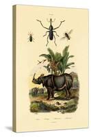 Hoverfly, 1833-39-null-Stretched Canvas