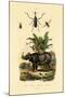 Hoverfly, 1833-39-null-Mounted Giclee Print