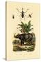 Hoverfly, 1833-39-null-Stretched Canvas