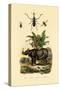 Hoverfly, 1833-39-null-Stretched Canvas