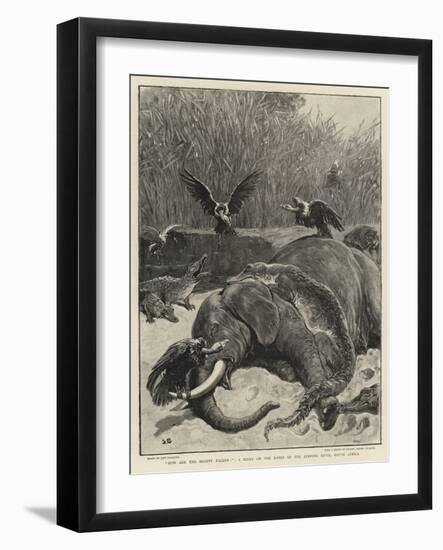 How are the Mighty Fallen!, a Scene on the Banks of the Limpopo River, South Africa-John Charlton-Framed Giclee Print