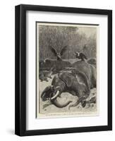 How are the Mighty Fallen!, a Scene on the Banks of the Limpopo River, South Africa-John Charlton-Framed Premium Giclee Print