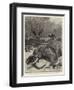 How are the Mighty Fallen!, a Scene on the Banks of the Limpopo River, South Africa-John Charlton-Framed Premium Giclee Print