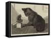 How are You?-John Charles Dollman-Framed Stretched Canvas