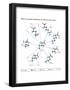 How Changes in One Nucleic Acid of a Triplet Lead to Different Amino Acids in the Protein-Encyclopaedia Britannica-Framed Poster