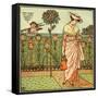 How does my lady garden grow?-Walter Crane-Framed Stretched Canvas