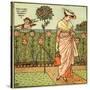 How does my lady garden grow?-Walter Crane-Stretched Canvas