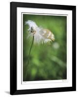 How Great-Michelle Wermuth-Framed Giclee Print