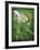 How Great-Michelle Wermuth-Framed Giclee Print