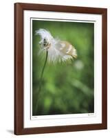 How Great-Michelle Wermuth-Framed Giclee Print