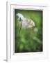 How Great-Michelle Wermuth-Framed Giclee Print