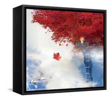 How High Can You Go?-Nancy Tillman-Framed Stretched Canvas
