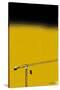 How High Is Your Cow? Yellow-Pascal Normand-Stretched Canvas