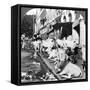 How Hindu Cows Enjoy Life on Harrison Street, Calcutta, India, 1900s-Underwood & Underwood-Framed Stretched Canvas