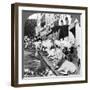 How Hindu Cows Enjoy Life on Harrison Street, Calcutta, India, 1900s-Underwood & Underwood-Framed Photographic Print