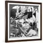 How Hindu Cows Enjoy Life on Harrison Street, Calcutta, India, 1900s-Underwood & Underwood-Framed Photographic Print