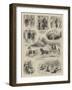 How I Volunteered for the Zulu War-null-Framed Giclee Print