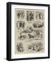 How I Volunteered for the Zulu War-null-Framed Giclee Print