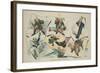 How John may dodge the Exclusion Act, 1905-John S. Pughe-Framed Giclee Print