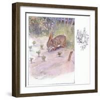 How Kind These Humans Are-Anne Anderson-Framed Giclee Print