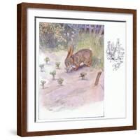 How Kind These Humans Are-Anne Anderson-Framed Giclee Print