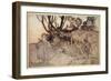 How Now Spirit! Wither Wander You?, Illustration from 'Midsummer Nights Dream'-Arthur Rackham-Framed Giclee Print