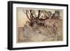 How Now Spirit! Wither Wander You?, Illustration from 'Midsummer Nights Dream'-Arthur Rackham-Framed Giclee Print