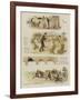 How Tankerville Smith Took a Country Cottage-null-Framed Giclee Print