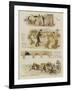 How Tankerville Smith Took a Country Cottage-null-Framed Giclee Print