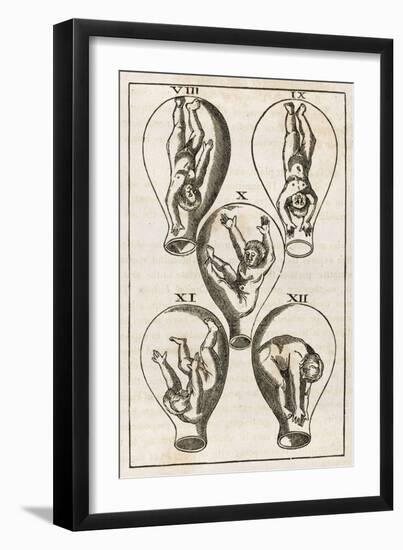 How the About-To-Be-Born Child May Present Itself : from Raynalde's 'Birth of Mankind'-null-Framed Art Print