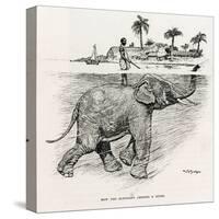 How the Elephant Crosses a River-W.H. Drake-Stretched Canvas