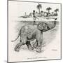 How the Elephant Crosses a River-W.H. Drake-Mounted Art Print