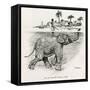 How the Elephant Crosses a River-W.H. Drake-Framed Stretched Canvas