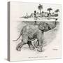 How the Elephant Crosses a River-W.H. Drake-Stretched Canvas