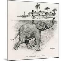 How the Elephant Crosses a River-W.H. Drake-Mounted Art Print